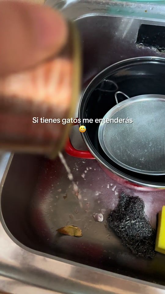 TikTok video thumbnail by zipie_y_estrella_rebeca