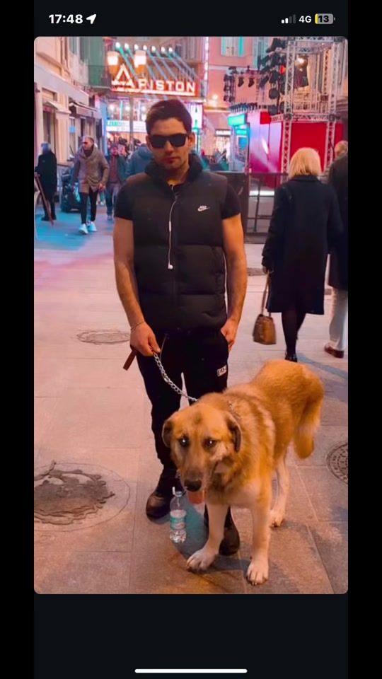 TikTok video thumbnail by leopinotuscano