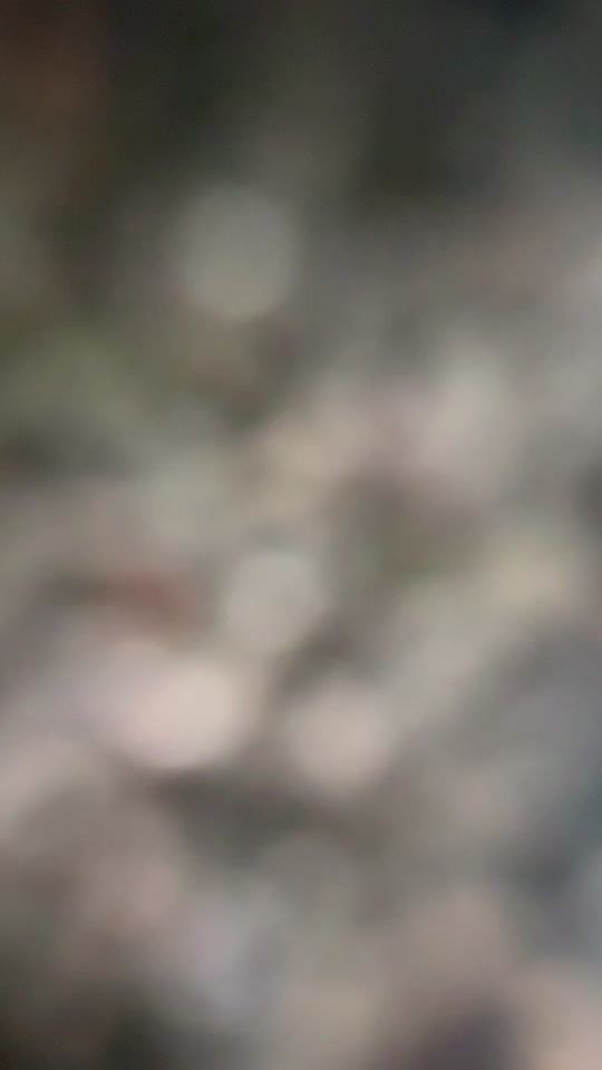 TikTok video thumbnail by dorischapex