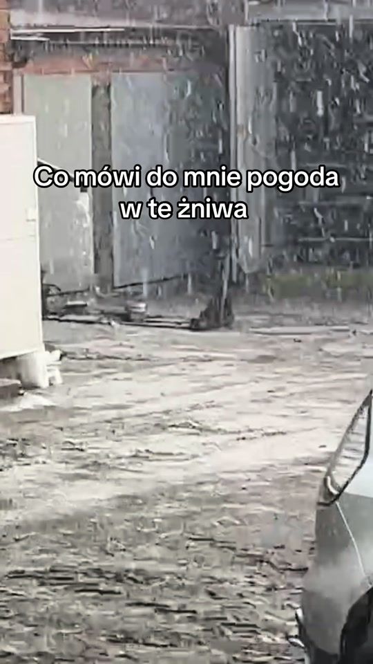 TikTok video thumbnail by agro_036