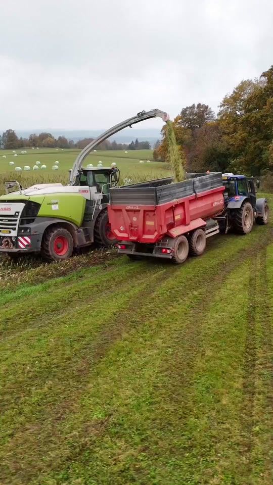 TikTok video thumbnail by pv_agro