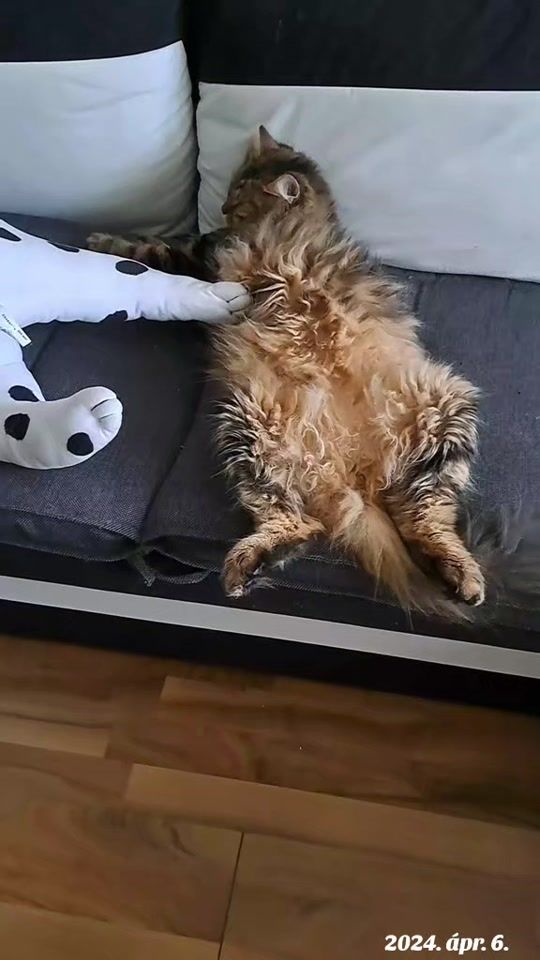 TikTok video thumbnail by perlandi