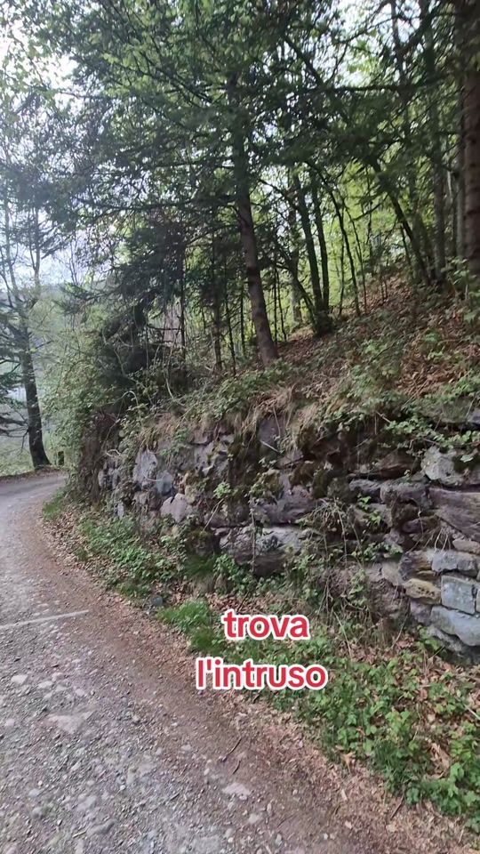 TikTok video thumbnail by acquaboario