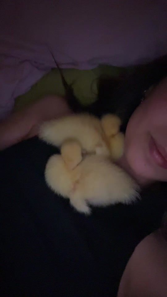 TikTok video thumbnail by _ponzzojulia_