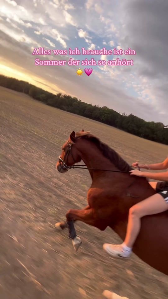 TikTok video thumbnail by equestrian..eventing