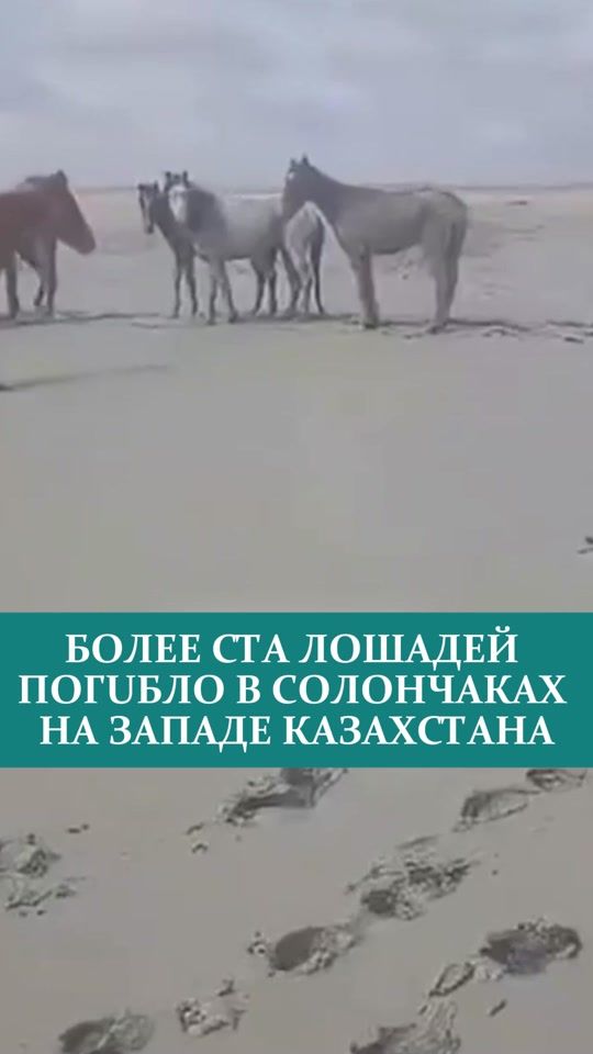 TikTok video thumbnail by tuzdyk_kz