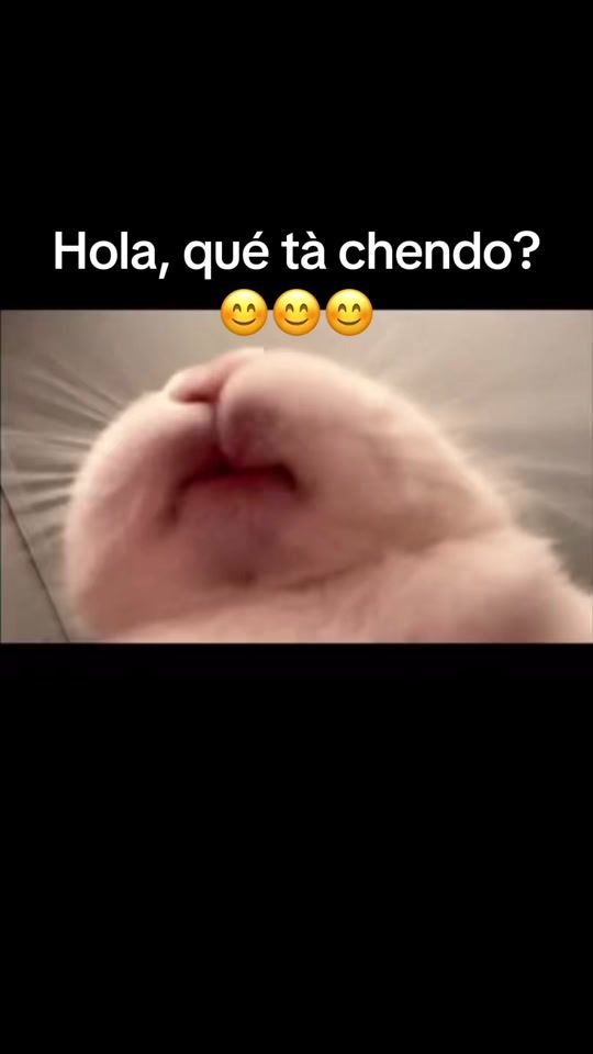TikTok video thumbnail by lanenastrinky