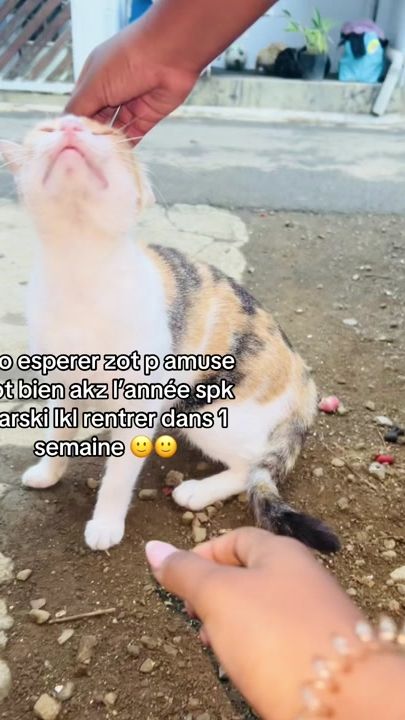 TikTok video thumbnail by ig_its_julie