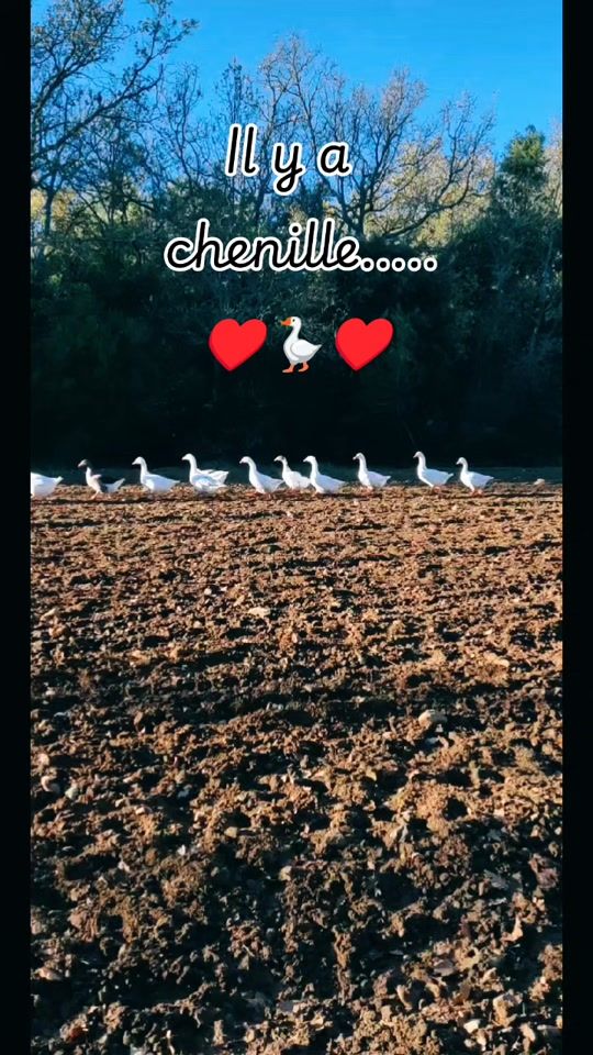 TikTok video thumbnail by eve_4444