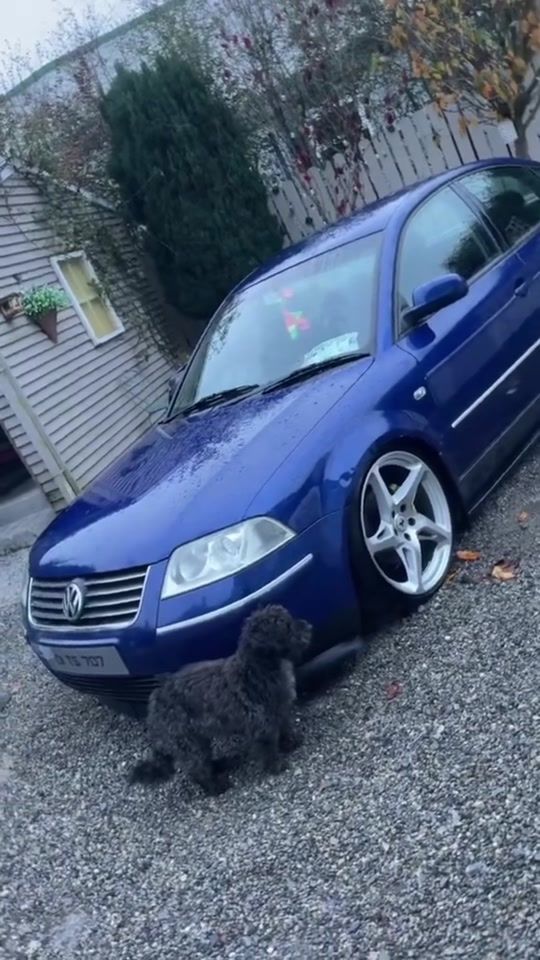 TikTok video thumbnail by jjjayden.n