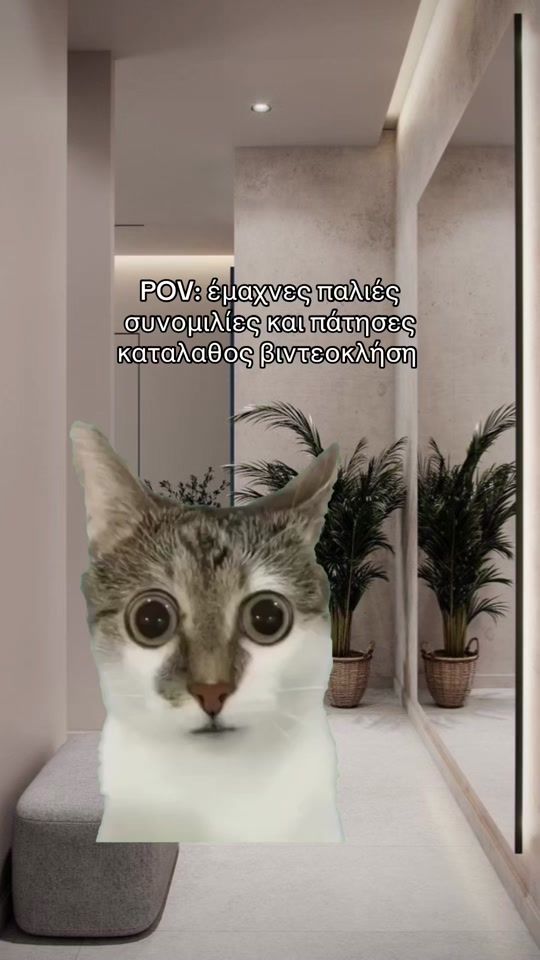 TikTok video thumbnail by chara_chh