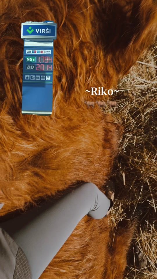 TikTok video thumbnail by _aitlanderi_