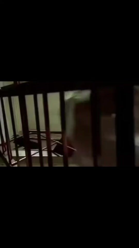 TikTok video thumbnail by chernobyl.pripyat.0