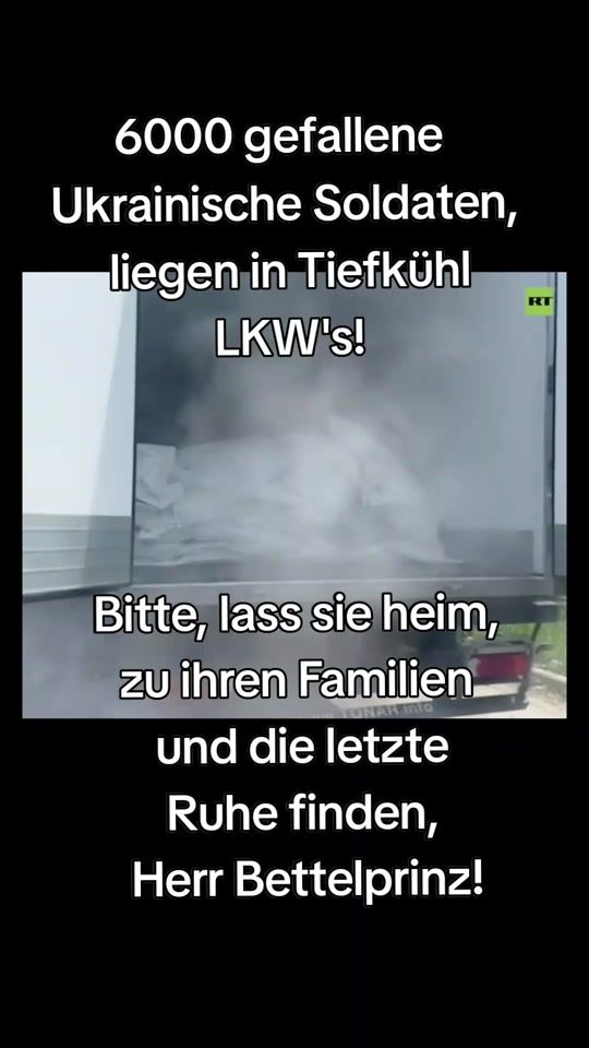 TikTok video thumbnail by petra22568