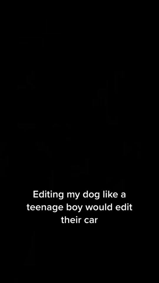 TikTok video thumbnail by dino.and.ruby