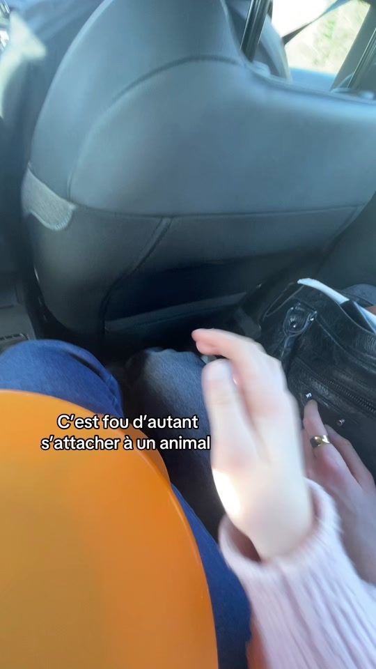 TikTok video thumbnail by syyriane