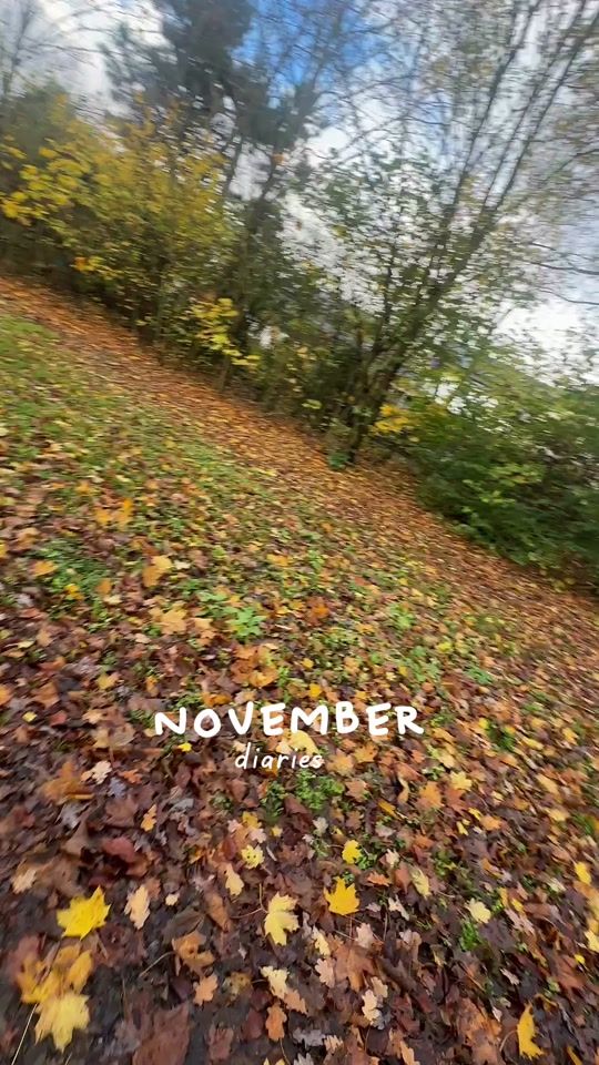 TikTok video thumbnail by ronjasbookdiary