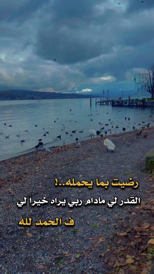 TikTok video thumbnail by schamia12