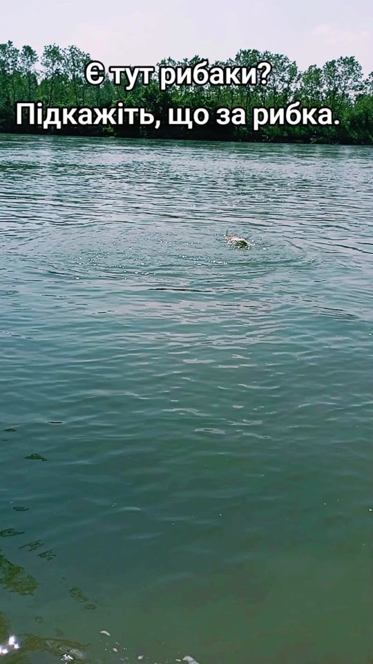 TikTok video thumbnail by allamustetsa21