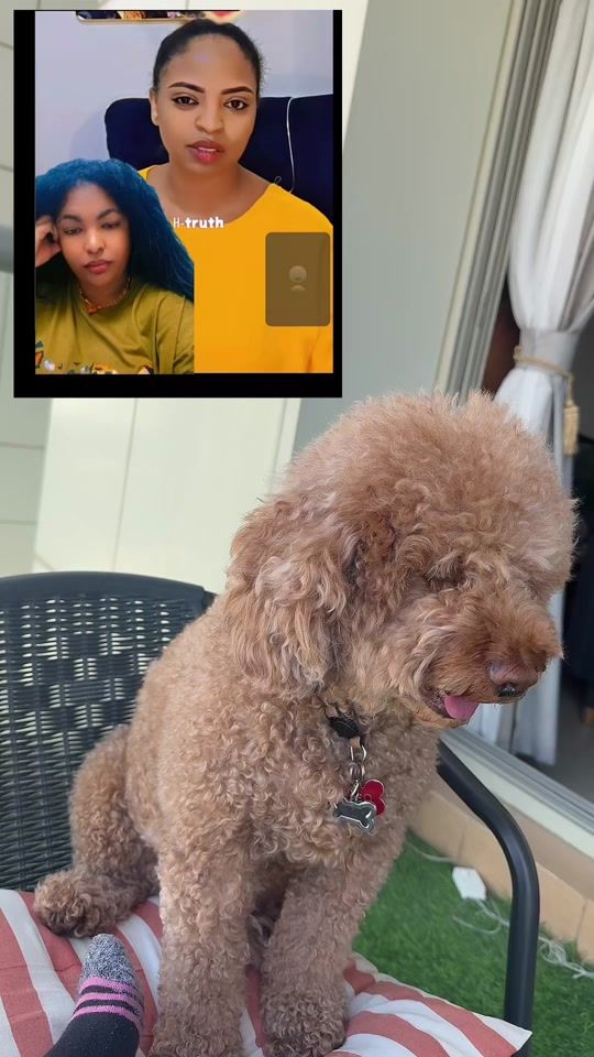 TikTok video thumbnail by birabirtik.com31