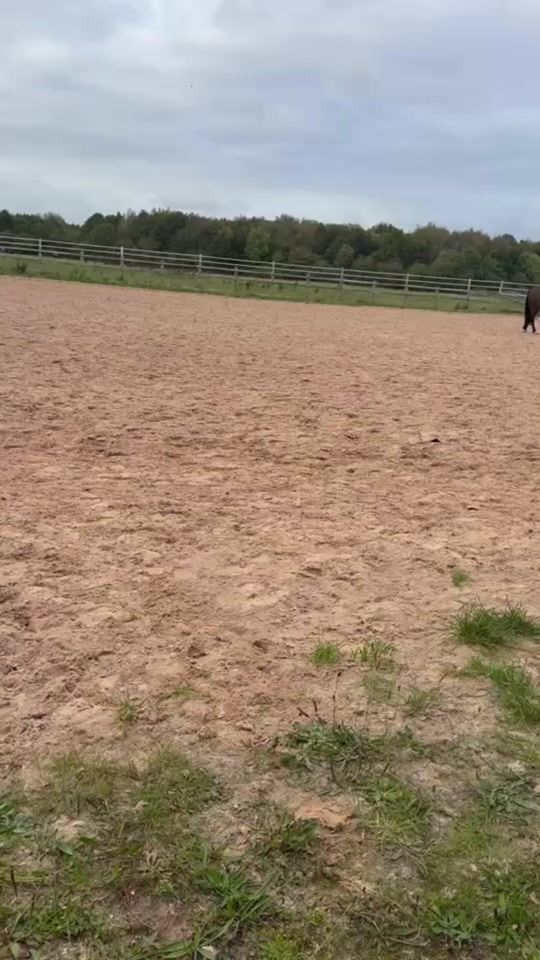 TikTok video thumbnail by annie_67674