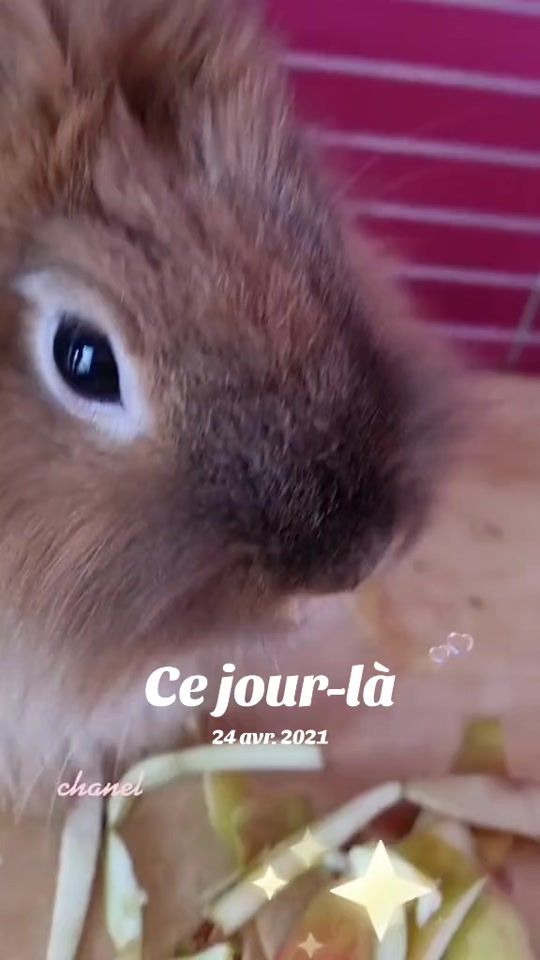 TikTok video thumbnail by linaandrade37