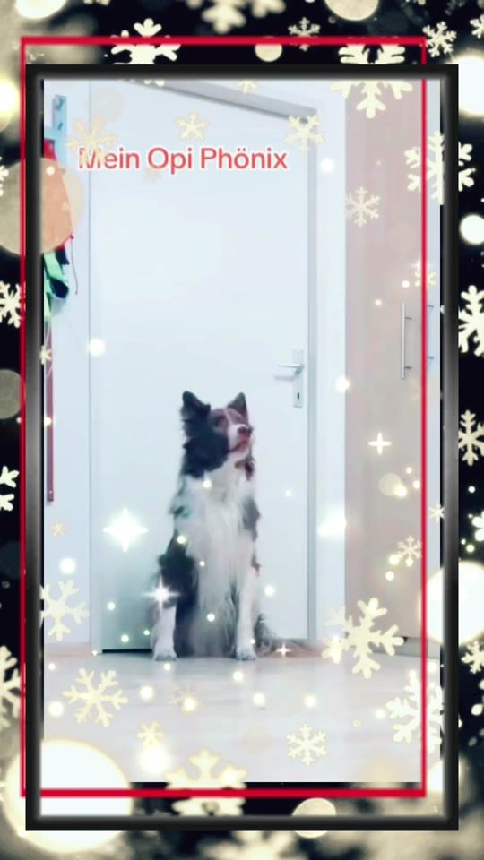 TikTok video thumbnail by moonprincess_77
