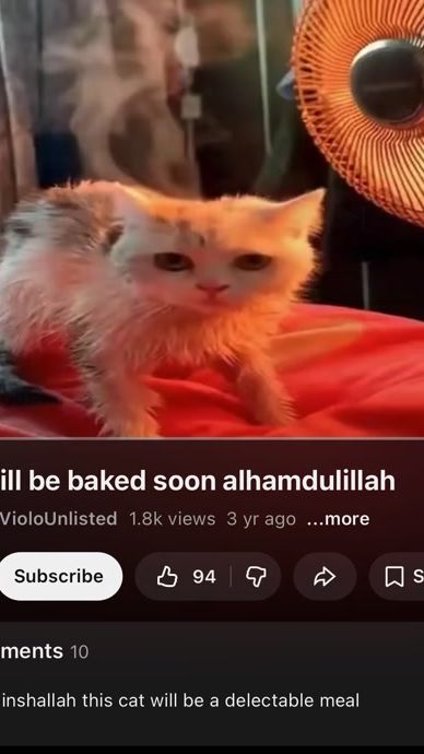 TikTok video thumbnail by catsbeiingcats