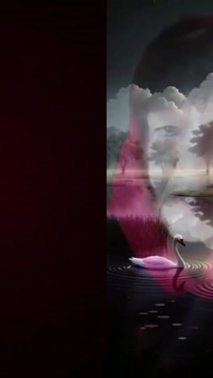 TikTok video thumbnail by www.tiktok.heike