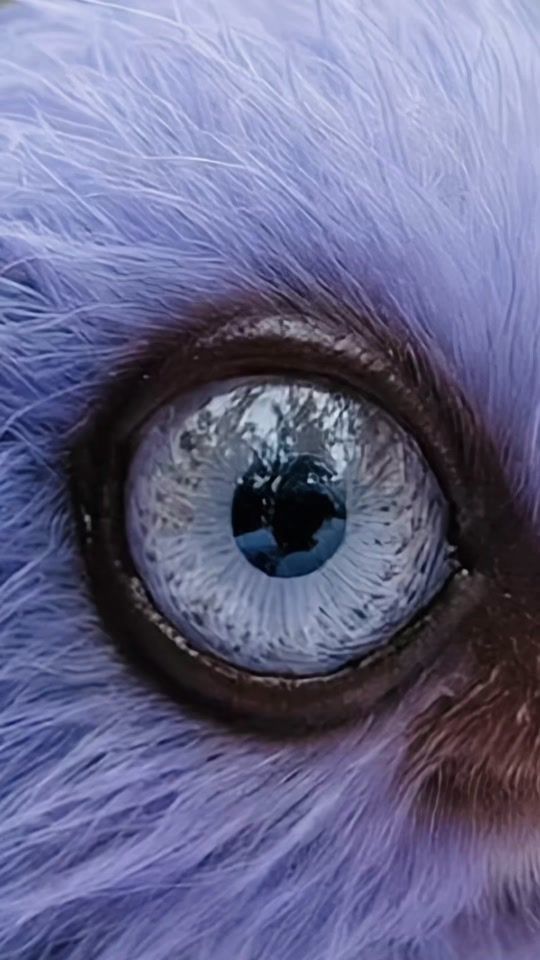 TikTok video thumbnail by art_content_ai
