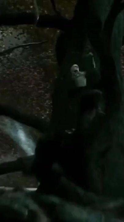 TikTok video thumbnail by thorgamer2007