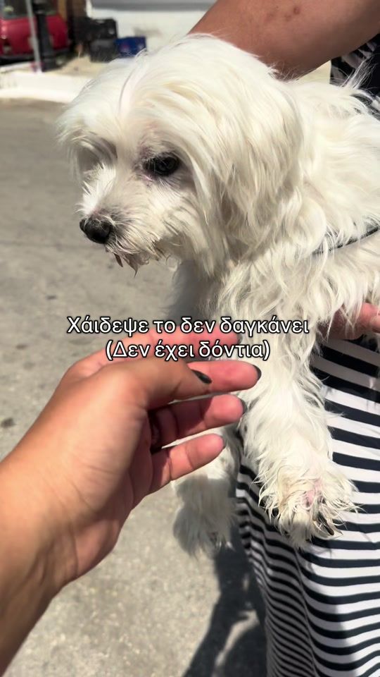 TikTok video thumbnail by taf.ni