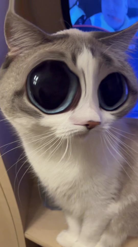 TikTok video thumbnail by angelraud