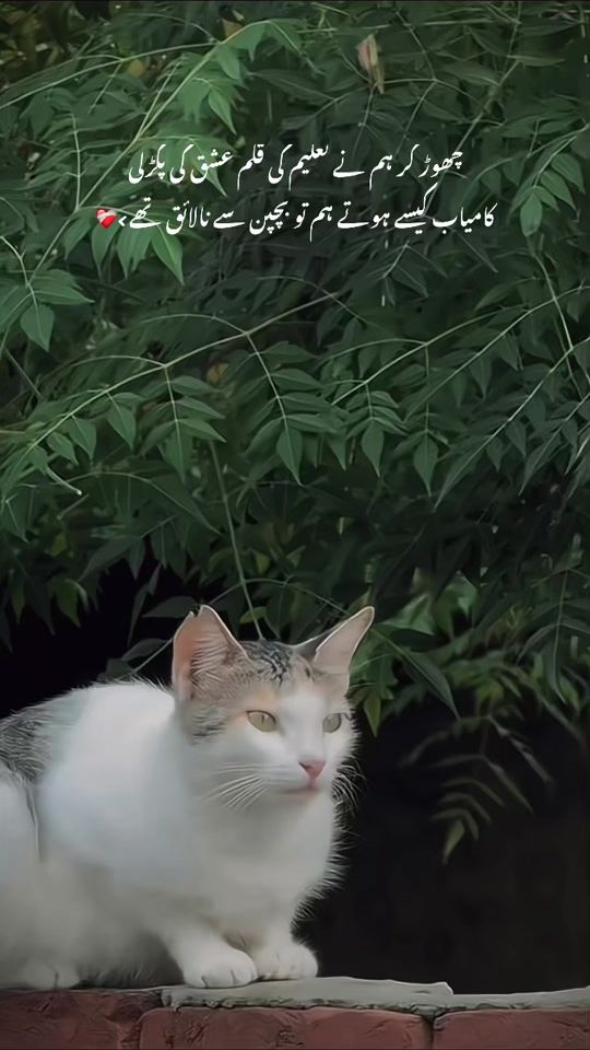 TikTok video thumbnail by ahmi.a0