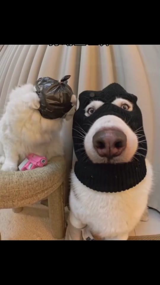 TikTok video thumbnail by _schwesterding_
