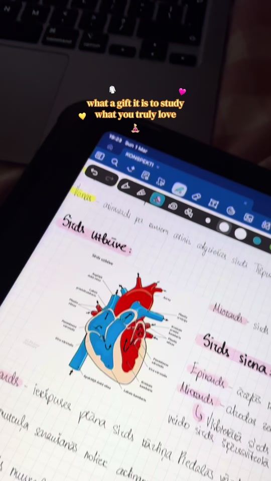 TikTok video thumbnail by loretabekerniece