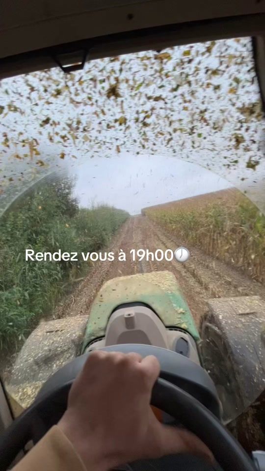 TikTok video thumbnail by polohrm
