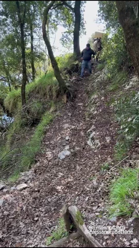 TikTok video thumbnail by luigipalumbo439