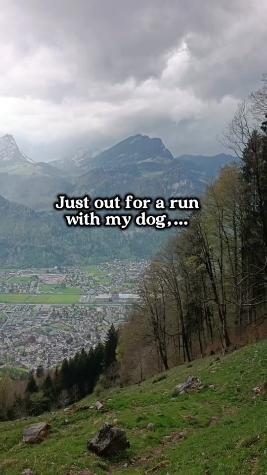 TikTok video thumbnail by nonstopdogwear