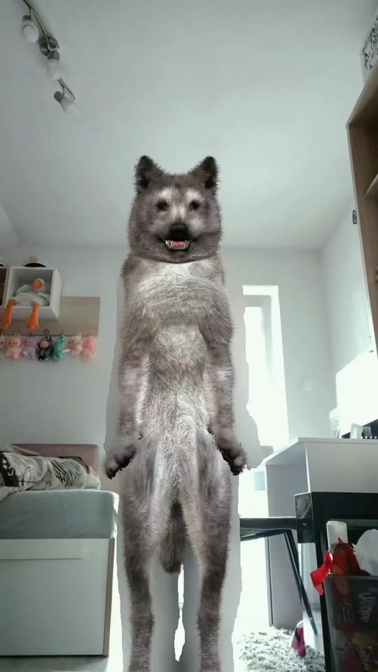 TikTok video thumbnail by itznicolemb