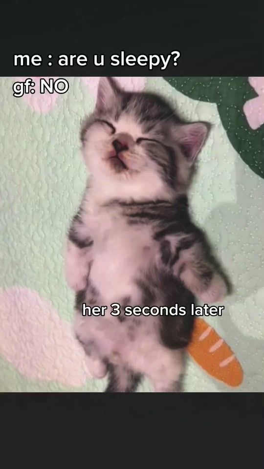 TikTok video thumbnail by eyllav2