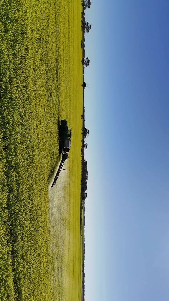 TikTok video thumbnail by leo_starr_