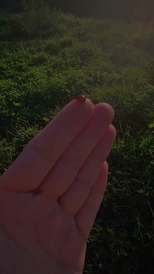 TikTok video thumbnail by rossa.85