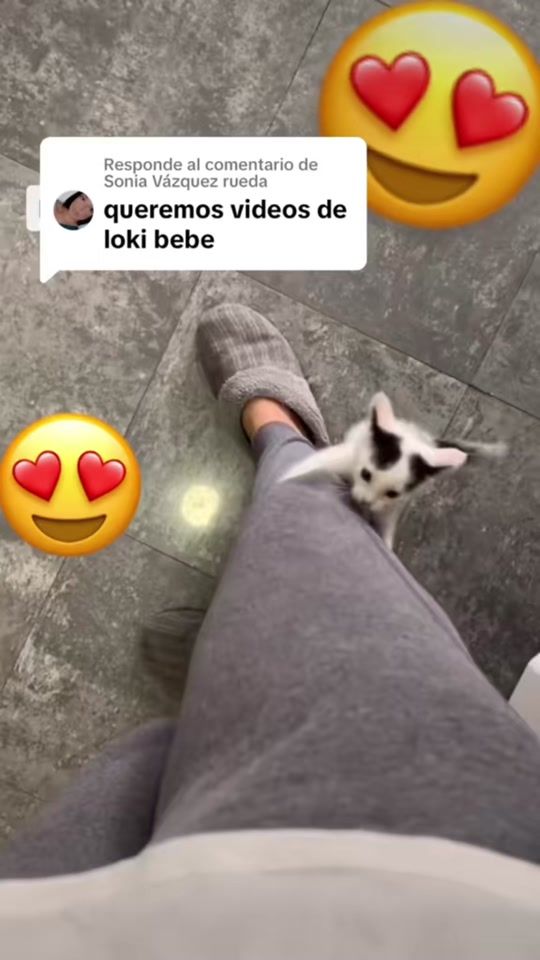 TikTok video thumbnail by donloki5