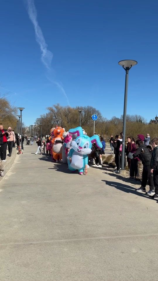 TikTok video thumbnail by rott.kott