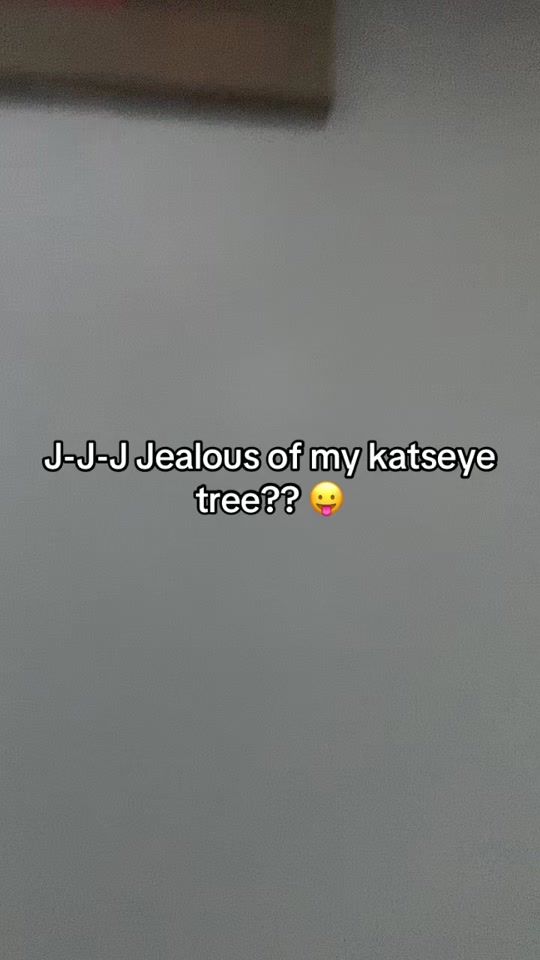 TikTok video thumbnail by daniixbunnie
