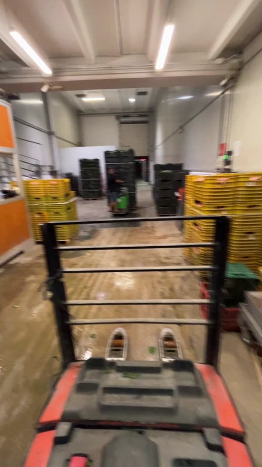 TikTok video thumbnail by francesco.dmb00
