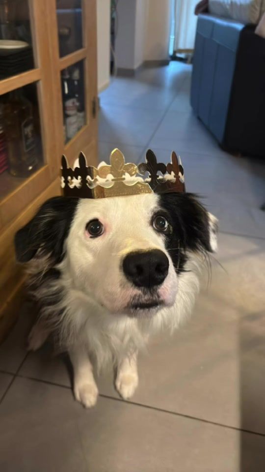 TikTok video thumbnail by catherine.desmet
