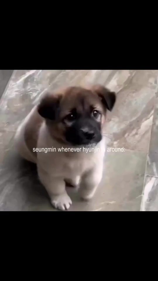 TikTok video thumbnail by eidueh