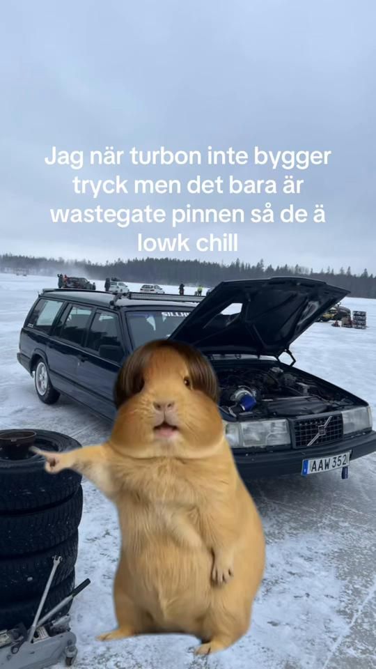 TikTok video thumbnail by vinzent_43